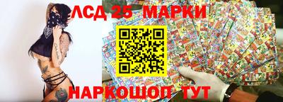 гашик Гатчина