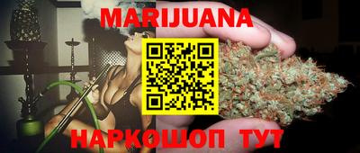 гашик Гатчина