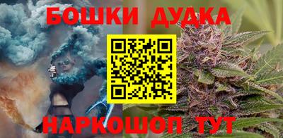 сатива Гагарин