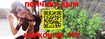 гашик Гатчина
