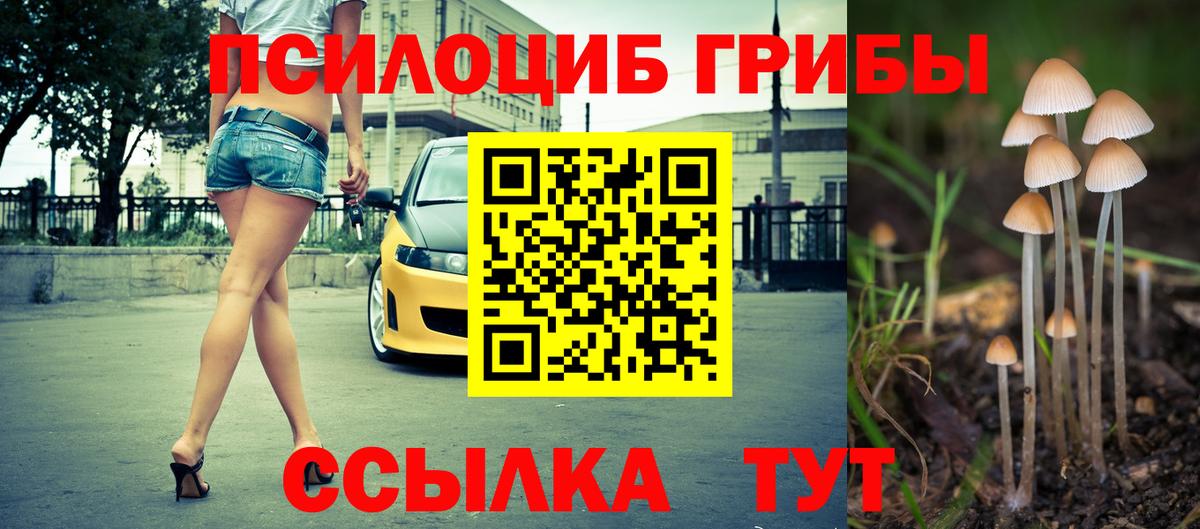 Псилоцибиновые грибы Magic Shrooms  Вход с VPN  Малоярославец 